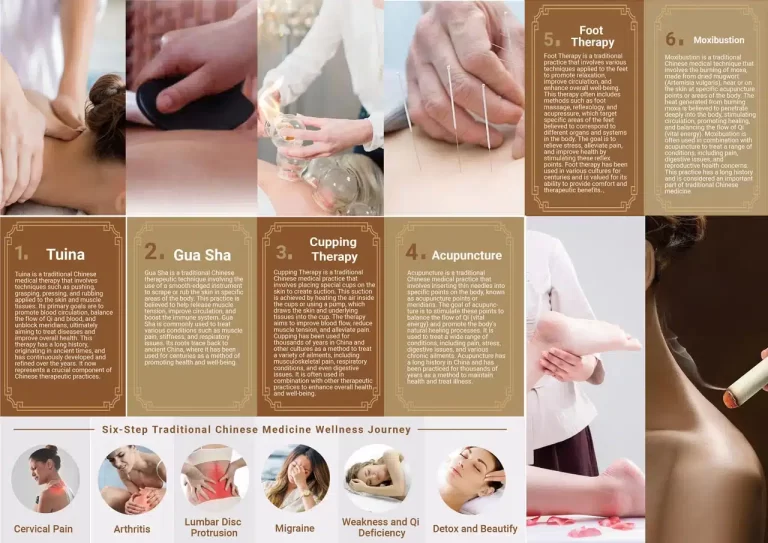 Traditional Chinese Medicine Therapy Tri-fold Brochure Design