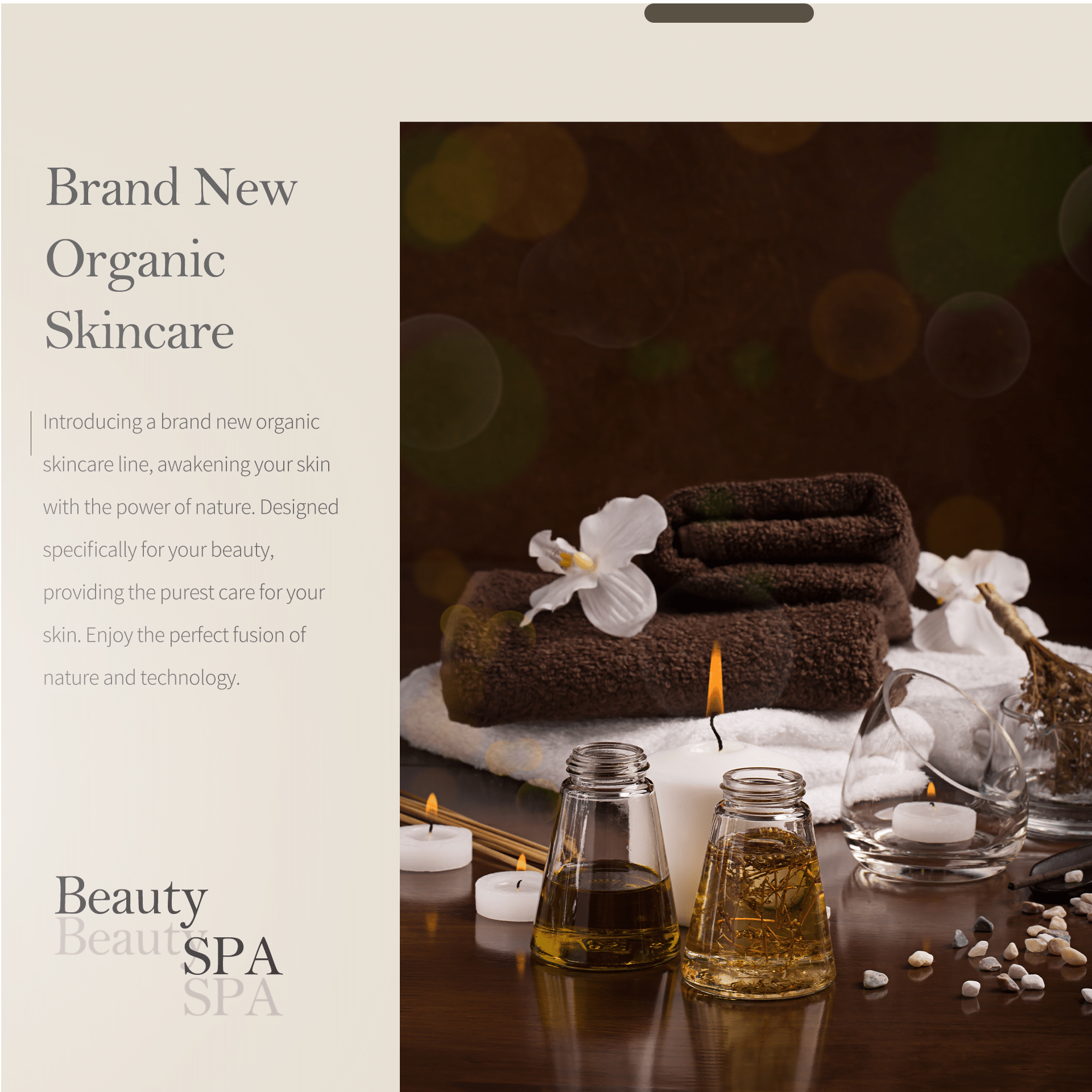 Organic skincare products displayed with natural ingredients like herbs, flowers, and essential oils, promoting healthy and radiant skin.